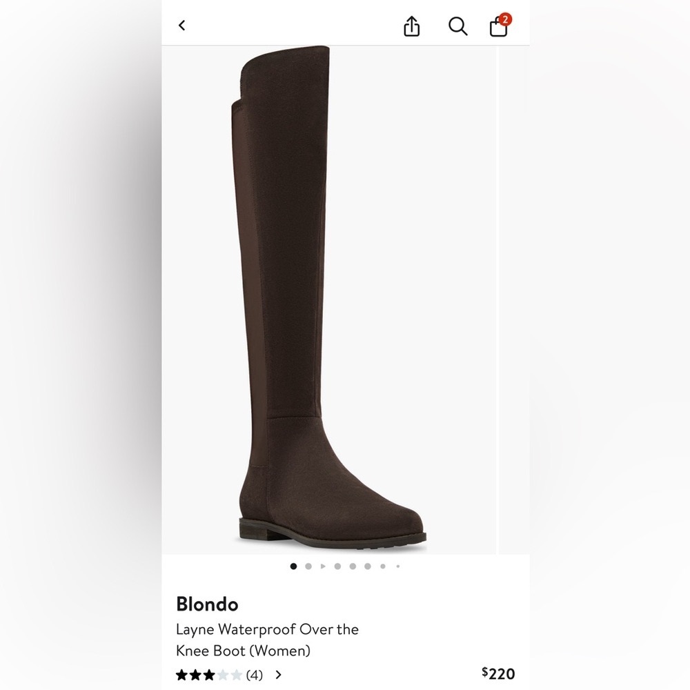 Blondo Layne Brown Suede Over the Knee Boots